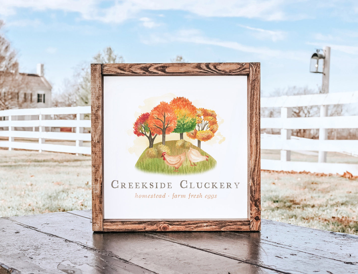 Creekside Cluckery | Premade Logo Design | Chicken, Rooster, Farm, Hen